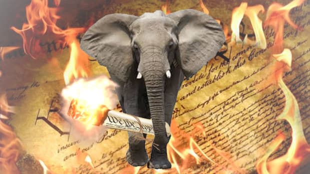 elephant-burning-constitution