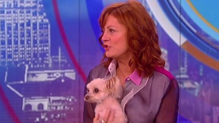 Yes, Bernie Fan Susan Sarandon Can Get More Nonsensical and Offensive