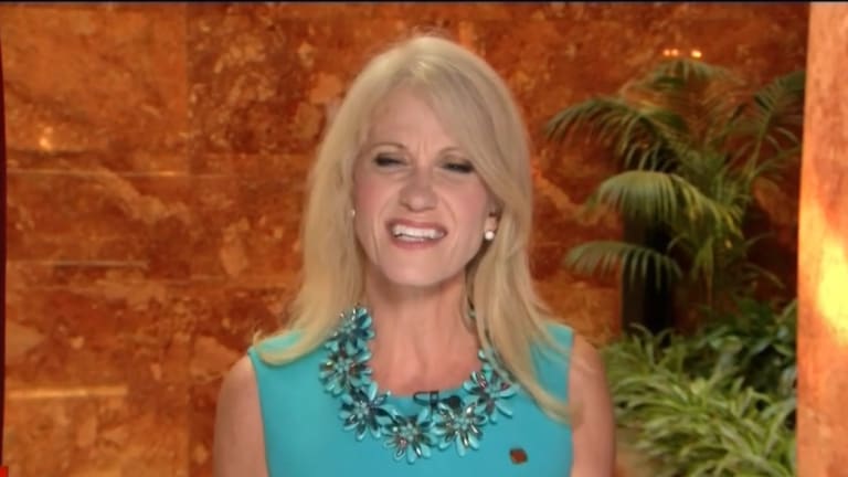 Deplorable: Turns Out Trump Campaign Manager Kellyanne Conway Called Americans 'A Bunch of Pigs'