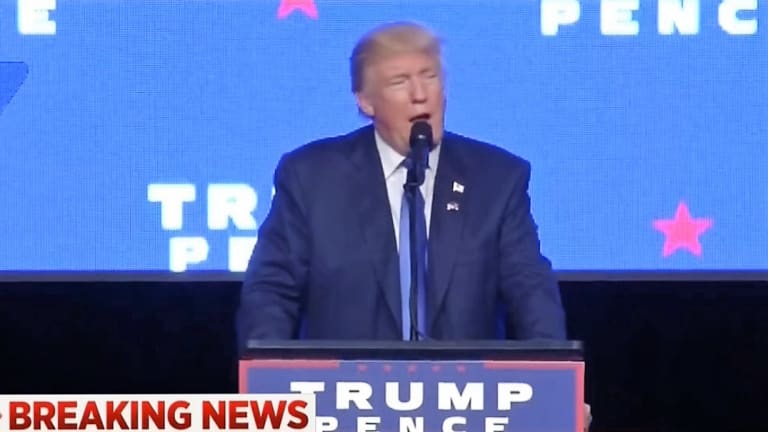 Trump Tells His Crowd to "Take Away" Hillary Secret Service Detail's Guns and "See What Happens to Her"