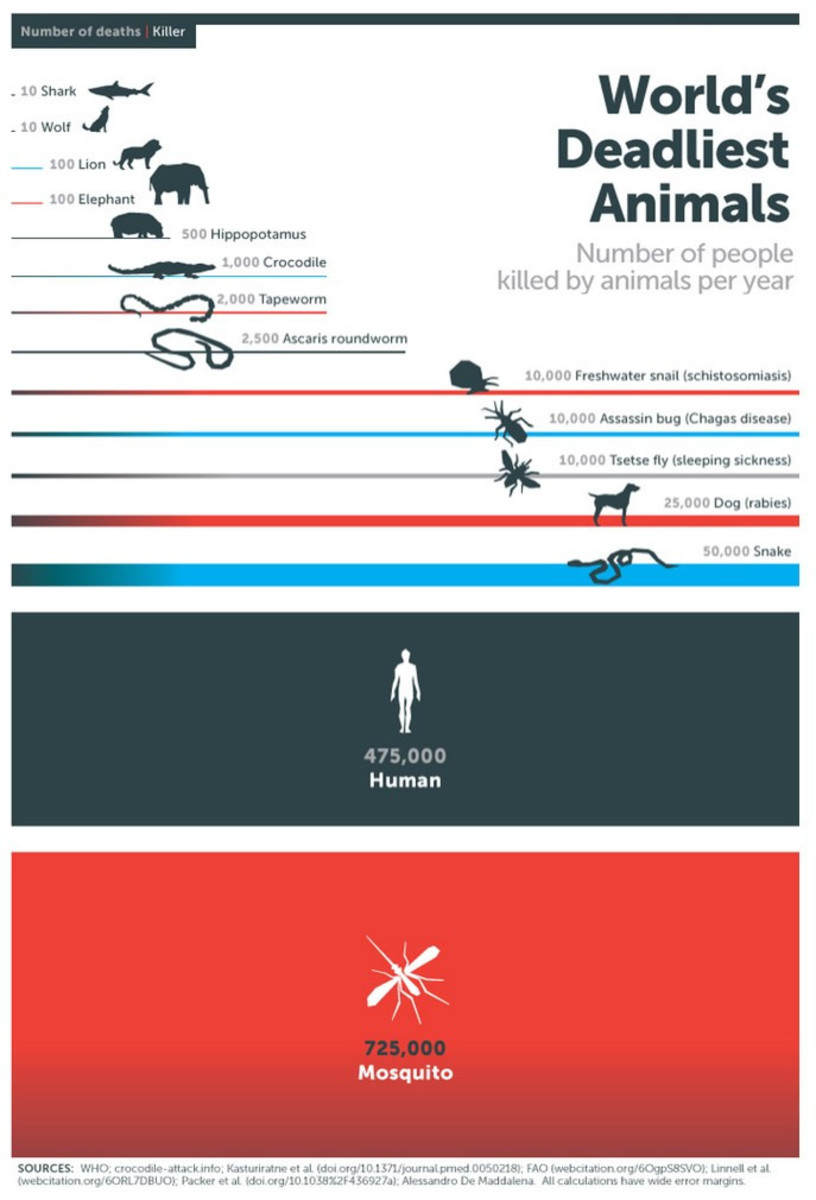 Mosquito-Week-Infographic (1)