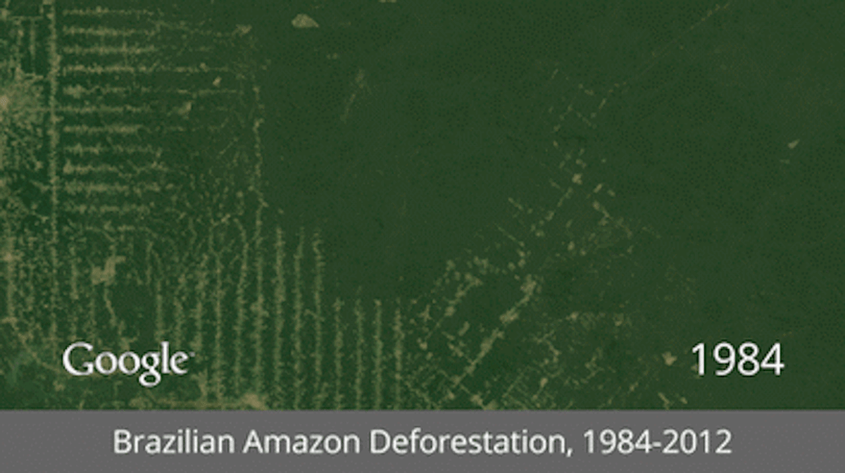 /Brazilian_Amazon_Deforestation-thumb-650x364-120978.gif