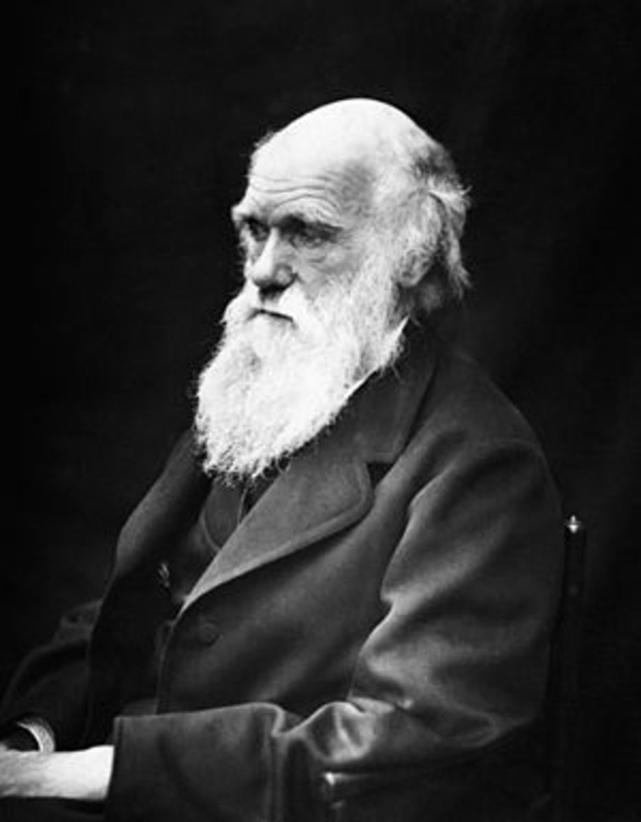 English: Charles Darwin (1809-1882) in his lat...