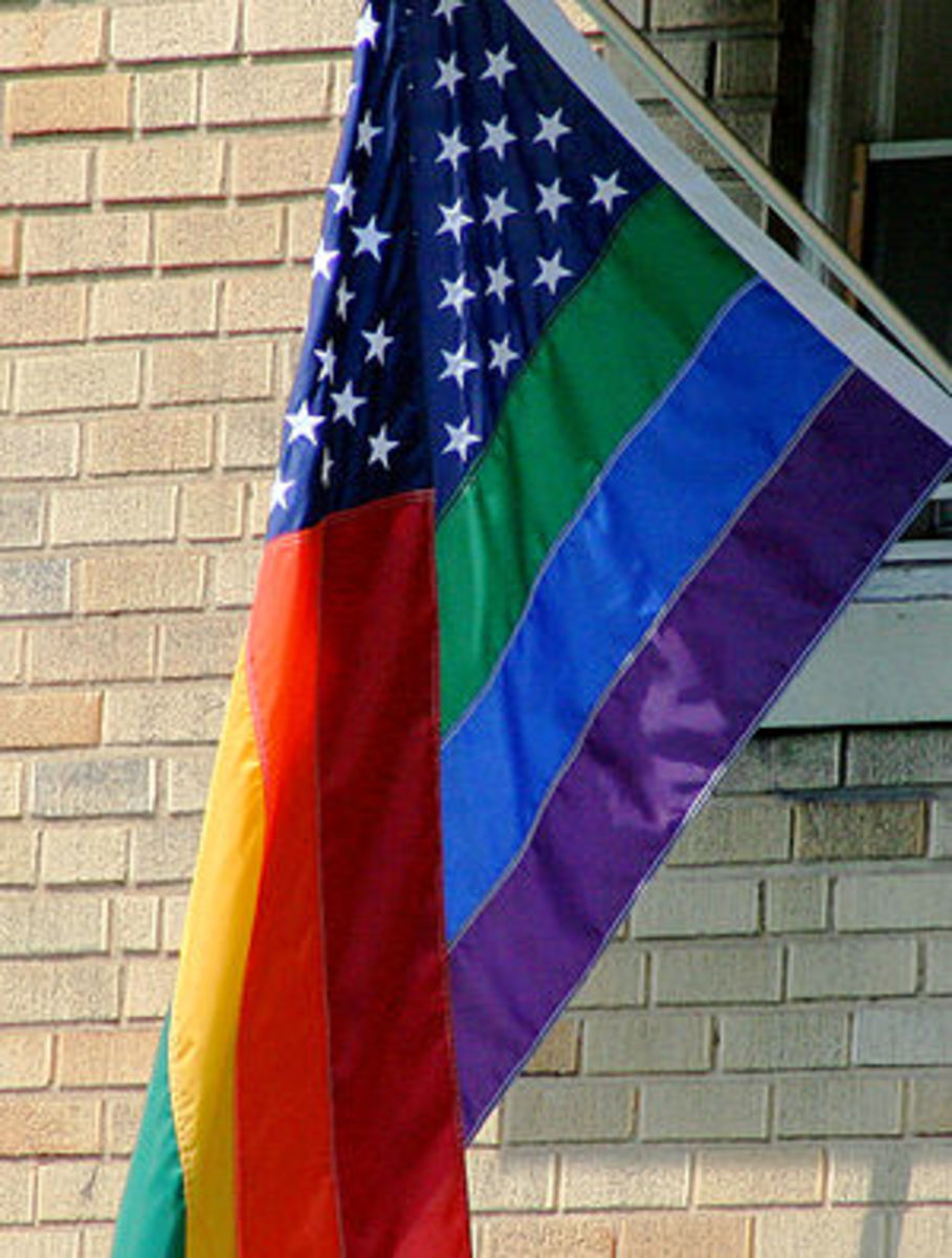 The rainbow flag, sometimes called 'the freedo...