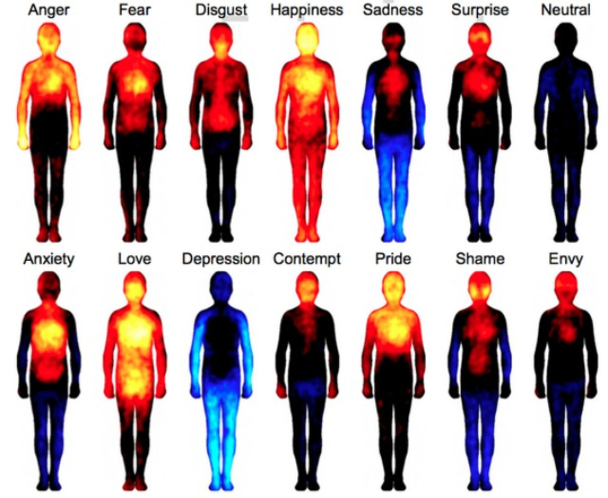 This "Body Atlas" Shows Where We Feel Love