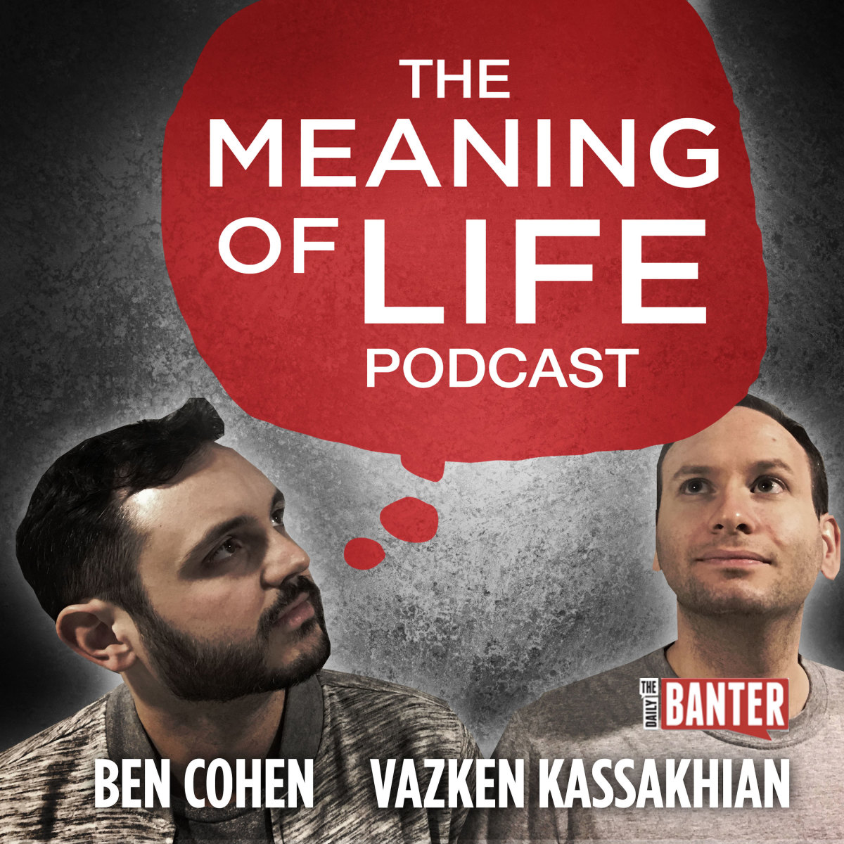 Meaning of Life Podcast Image.jpg
